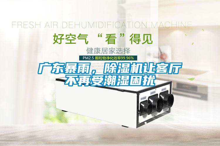 廣東暴雨，除濕機(jī)讓客廳不再受潮濕困擾