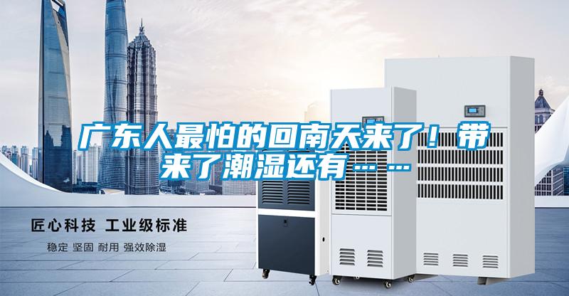 廣東人最怕的回南天來(lái)了！帶來(lái)了潮濕還有……