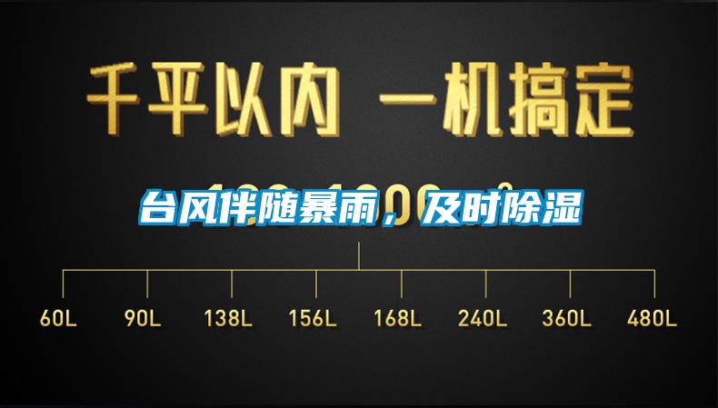 臺風伴隨暴雨，及時除濕