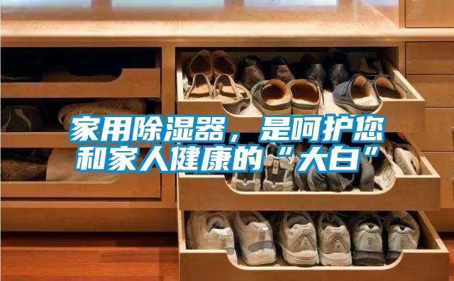 家用除濕器，是呵護您和家人健康的“大白”