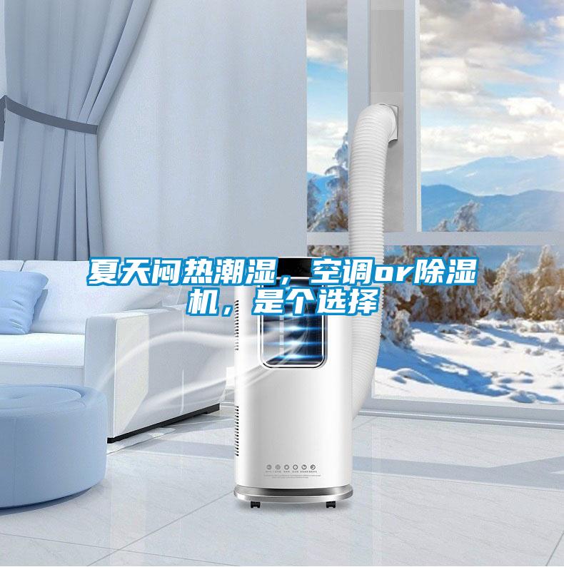 夏天悶熱潮濕，空調(diào)or除濕機，是個選擇