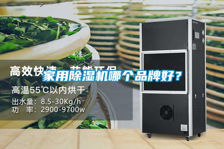 家用除濕機(jī)哪個品牌好？