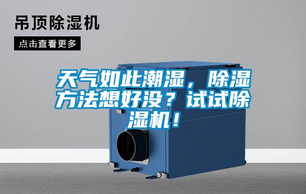 天氣如此潮濕，除濕方法想好沒？試試除濕機！