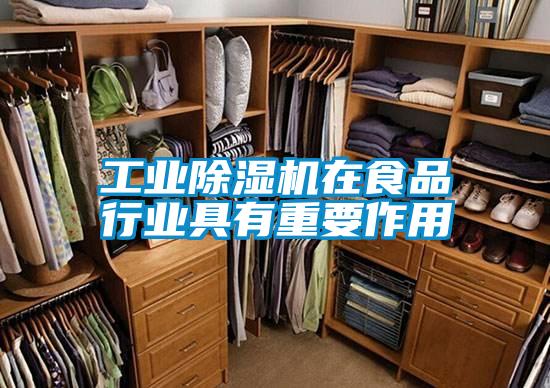 工業(yè)除濕機(jī)在食品行業(yè)具有重要作用