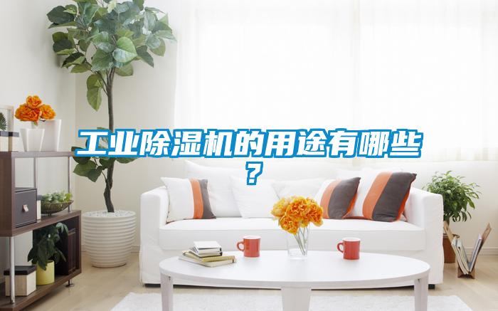 工業(yè)除濕機的用途有哪些？
