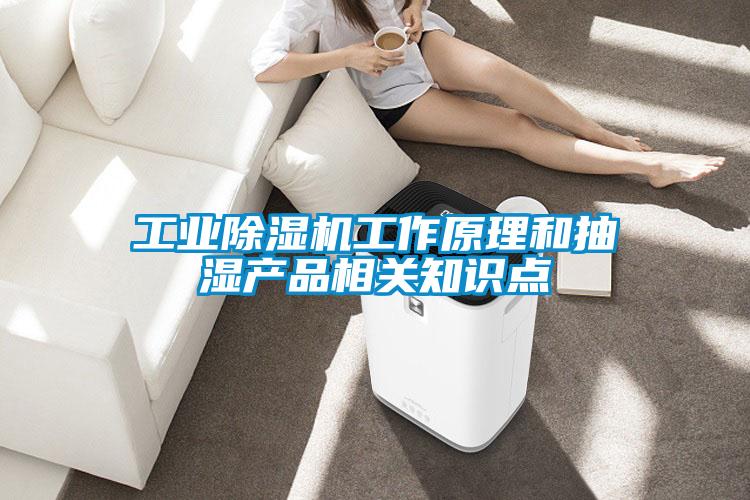 工業(yè)除濕機工作原理和抽濕產(chǎn)品相關(guān)知識點