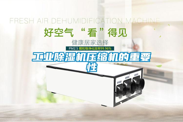 工業(yè)除濕機壓縮機的重要性