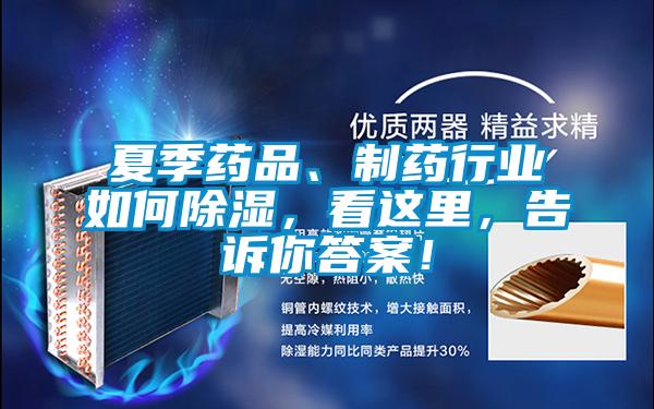 夏季藥品、制藥行業(yè)如何除濕，看這里，告訴你答案！