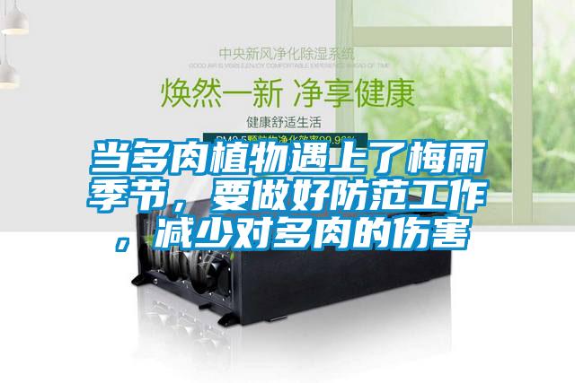 當(dāng)多肉植物遇上了梅雨季節(jié)，要做好防范工作，減少對(duì)多肉的傷害