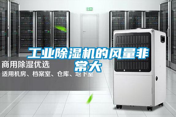 工業(yè)除濕機的風量非常大