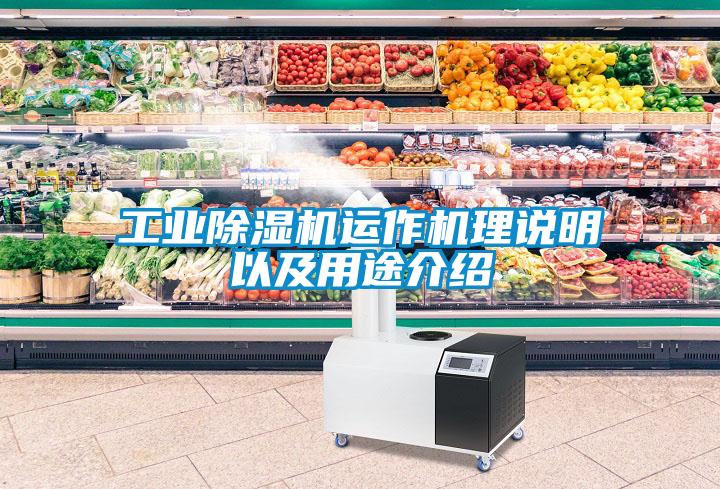 工業(yè)除濕機(jī)運(yùn)作機(jī)理說明以及用途介紹