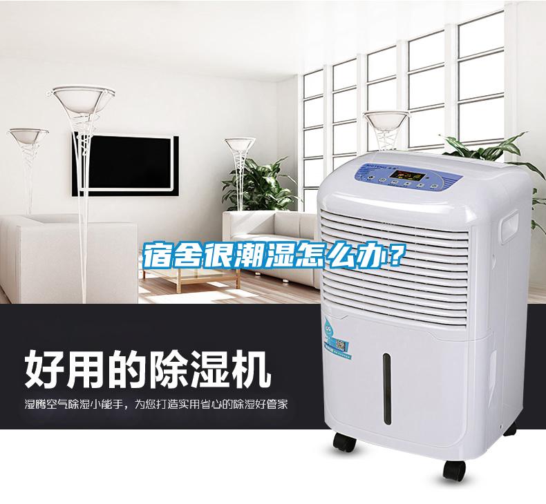 宿舍很潮濕怎么辦？