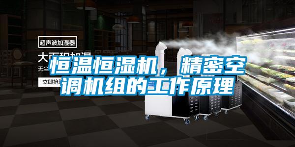 恒溫恒濕機(jī)，精密空調(diào)機(jī)組的工作原理