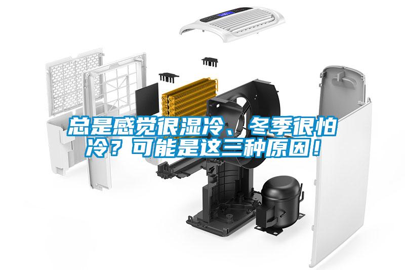 總是感覺很濕冷、冬季很怕冷？可能是這三種原因！