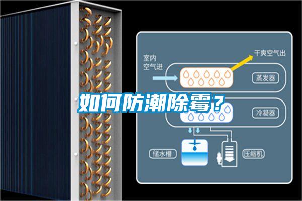 如何防潮除霉？