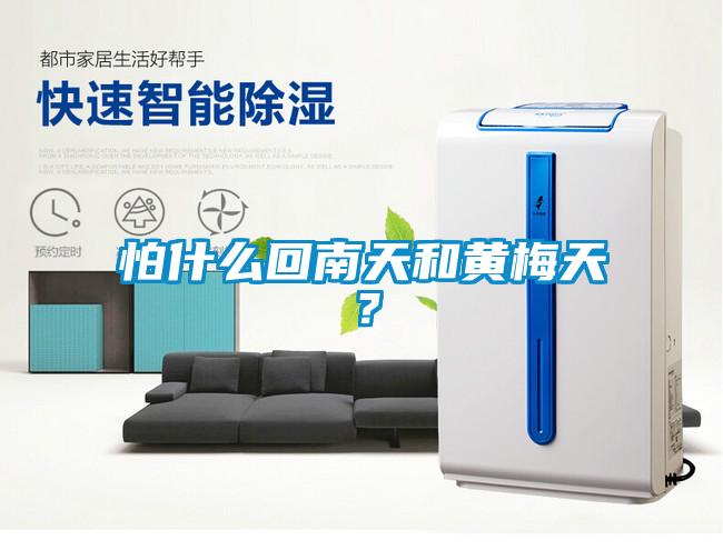 怕什么回南天和黃梅天？