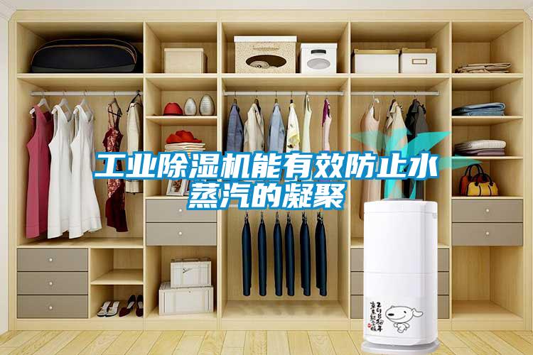 工業(yè)除濕機(jī)能有效防止水蒸汽的凝聚