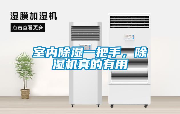 室內除濕一把手，除濕機真的有用