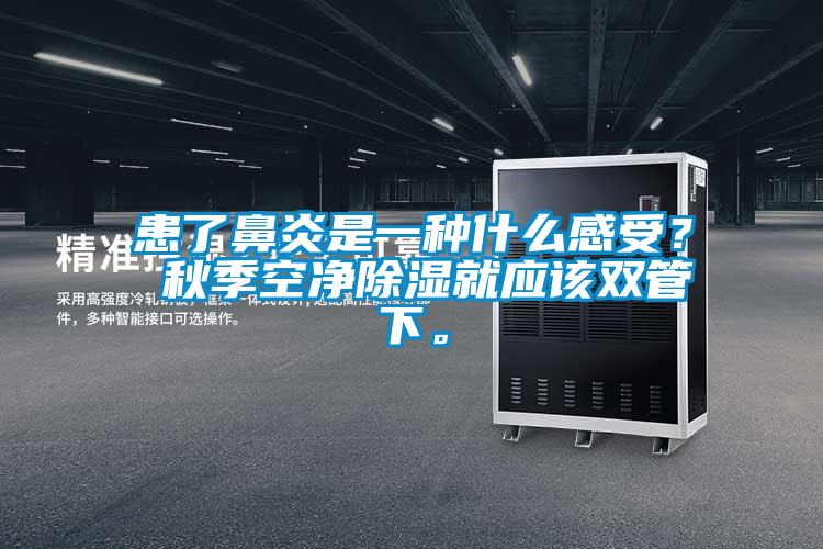 患了鼻炎是一種什么感受？ 秋季空凈除濕就應(yīng)該雙管下。
