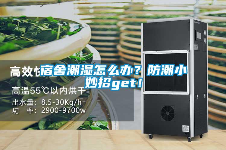 宿舍潮濕怎么辦？防潮小妙招g(shù)et！