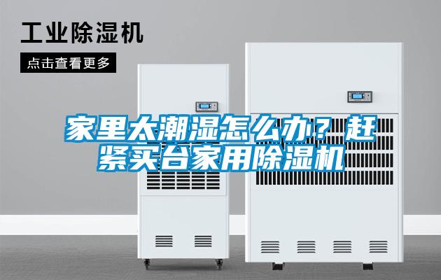 家里太潮濕怎么辦？趕緊買臺家用除濕機
