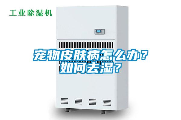 寵物皮膚病怎么辦？如何去濕？