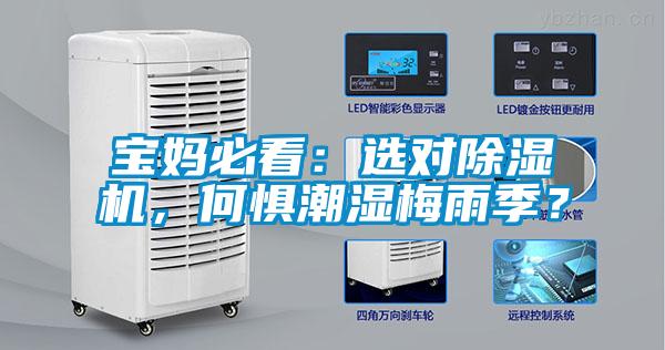 寶媽必看：選對除濕機，何懼潮濕梅雨季？