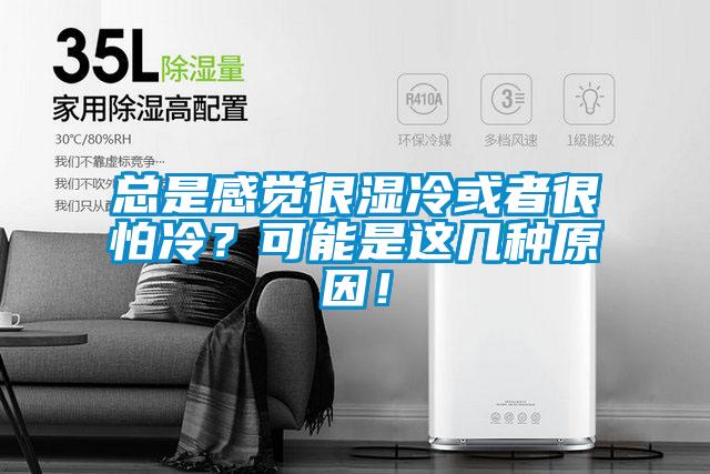 總是感覺很濕冷或者很怕冷？可能是這幾種原因！