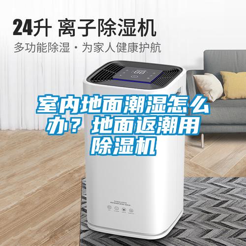 室內(nèi)地面潮濕怎么辦？地面返潮用除濕機(jī)