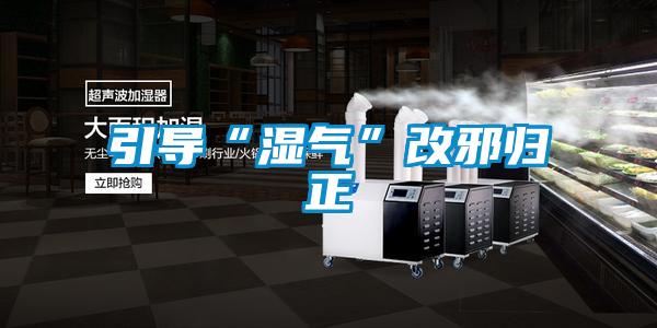 引導(dǎo)“濕氣”改邪歸正
