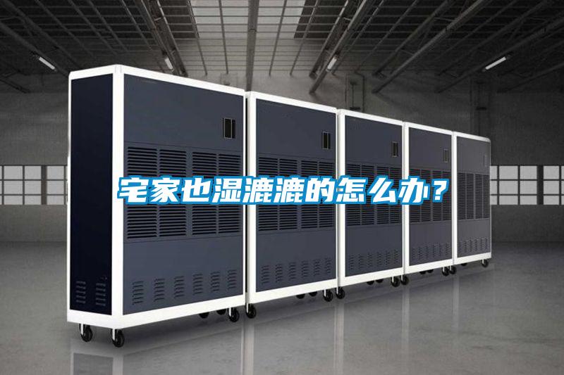 宅家也濕漉漉的怎么辦？