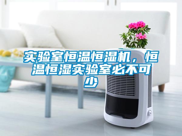 實(shí)驗(yàn)室恒溫恒濕機(jī)，恒溫恒濕實(shí)驗(yàn)室必不可少