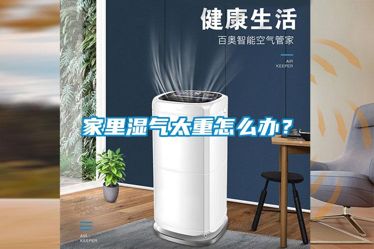 家里濕氣太重怎么辦？