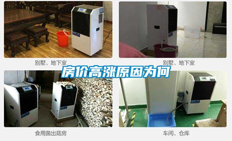 房價高漲原因為何