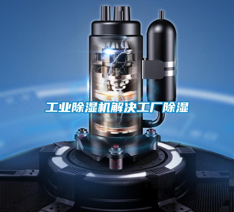 工業(yè)除濕機(jī)解決工廠除濕