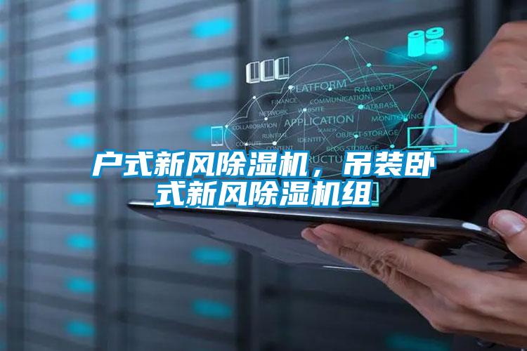 戶式新風(fēng)除濕機，吊裝臥式新風(fēng)除濕機組