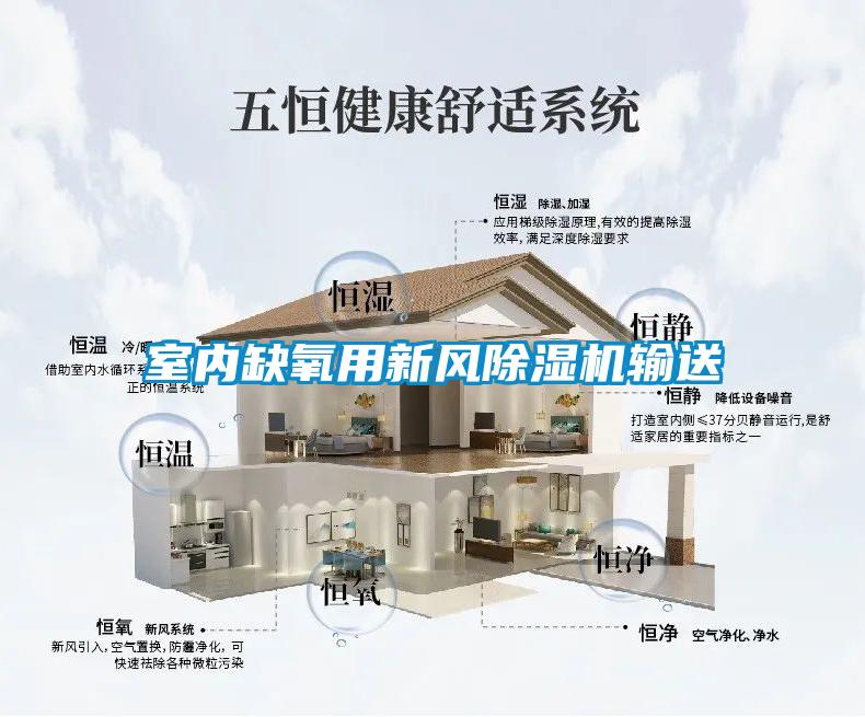 室內(nèi)缺氧用新風(fēng)除濕機輸送