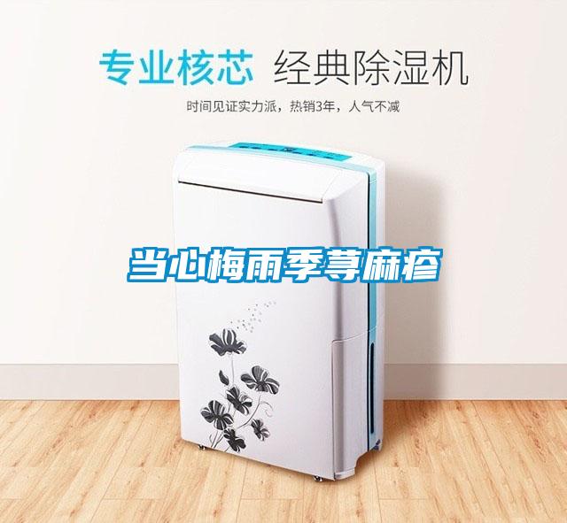 當(dāng)心梅雨季蕁麻疹