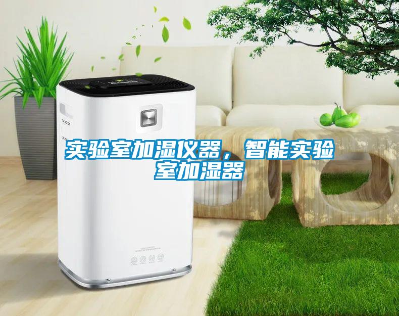 實(shí)驗(yàn)室加濕儀器，智能實(shí)驗(yàn)室加濕器