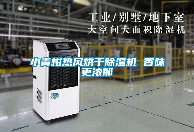 小青柑熱風(fēng)烘干除濕機(jī) 香味更濃郁
