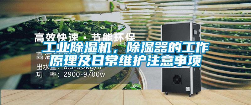 工業(yè)除濕機(jī)，除濕器的工作原理及日常維護(hù)注意事項(xiàng)