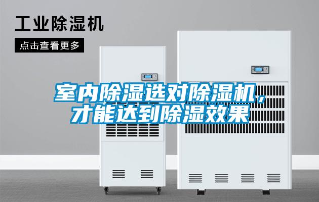 室內(nèi)除濕選對(duì)除濕機(jī)，才能達(dá)到除濕效果