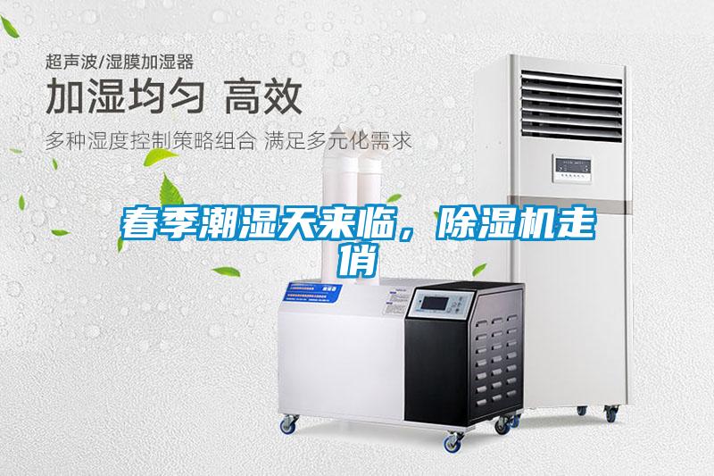 春季潮濕天來臨，除濕機走俏