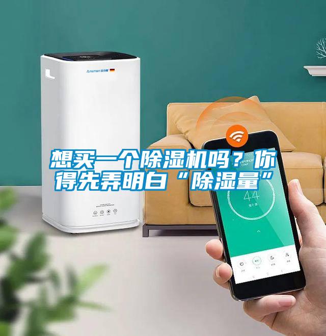 想買(mǎi)一個(gè)除濕機(jī)嗎？你得先弄明白“除濕量”