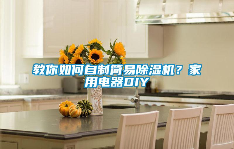 教你如何自制簡(jiǎn)易除濕機(jī)？家用電器DIY