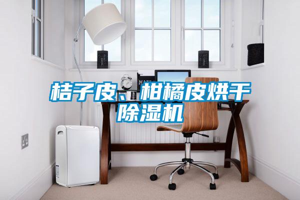 桔子皮、柑橘皮烘干除濕機