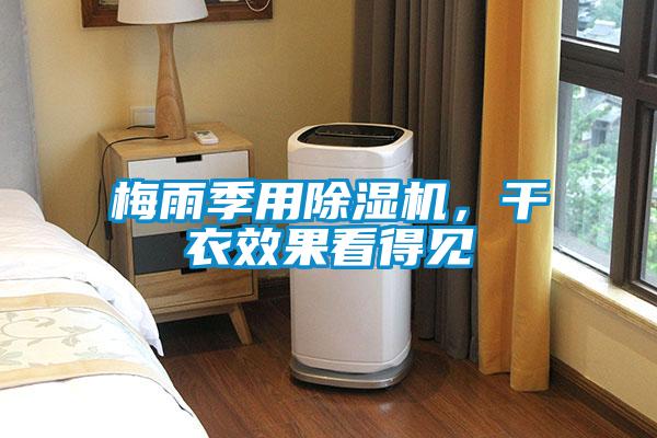 梅雨季用除濕機，干衣效果看得見