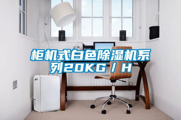 柜機式白色除濕機系列20KG／H