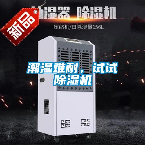 潮濕難耐，試試除濕機(jī)