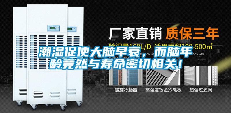潮濕促使大腦早衰，而腦年齡竟然與壽命密切相關(guān)！